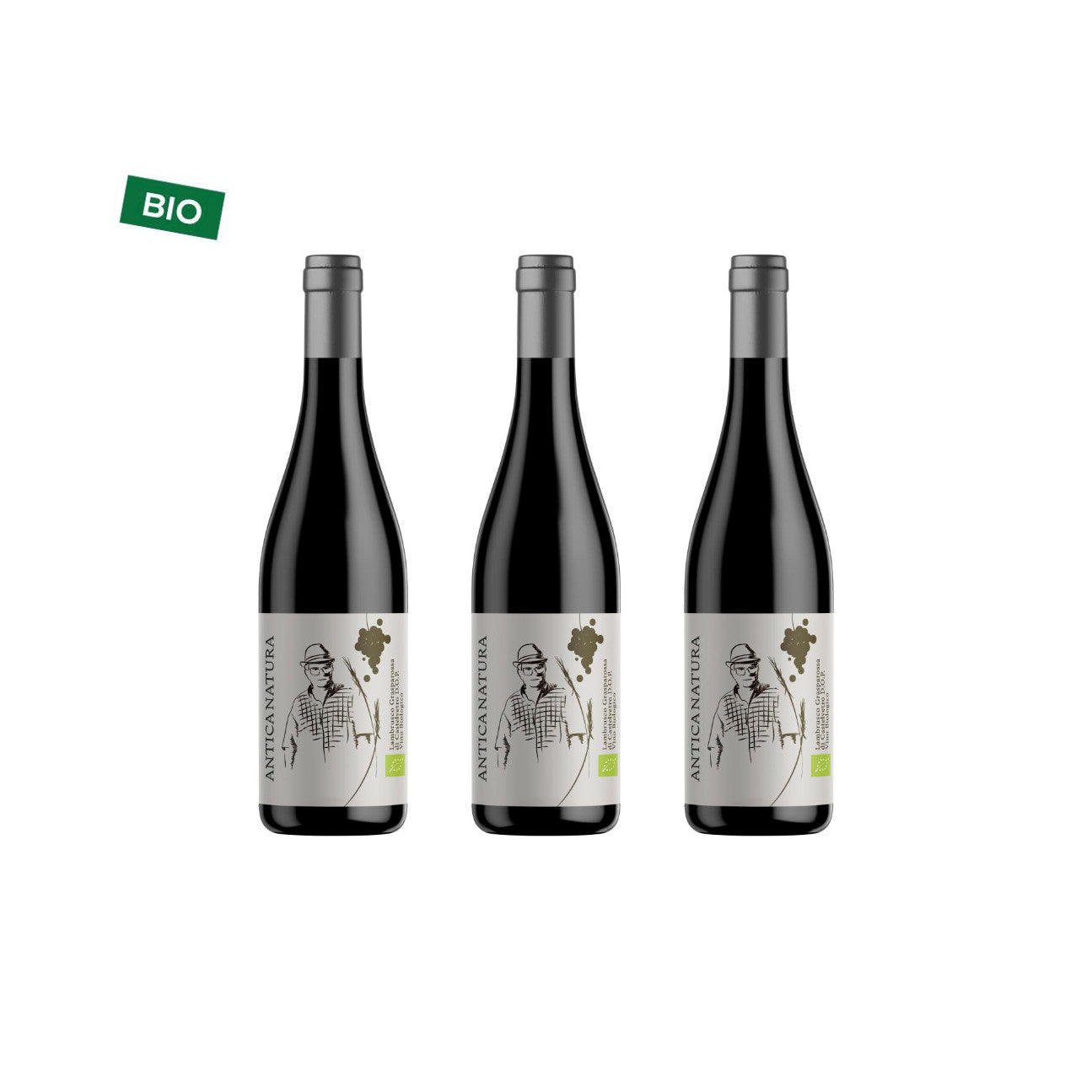 Antica Natura Lambrusco Grasparossa of Castelvetro DOP Dry 12% vol. 0,75l
