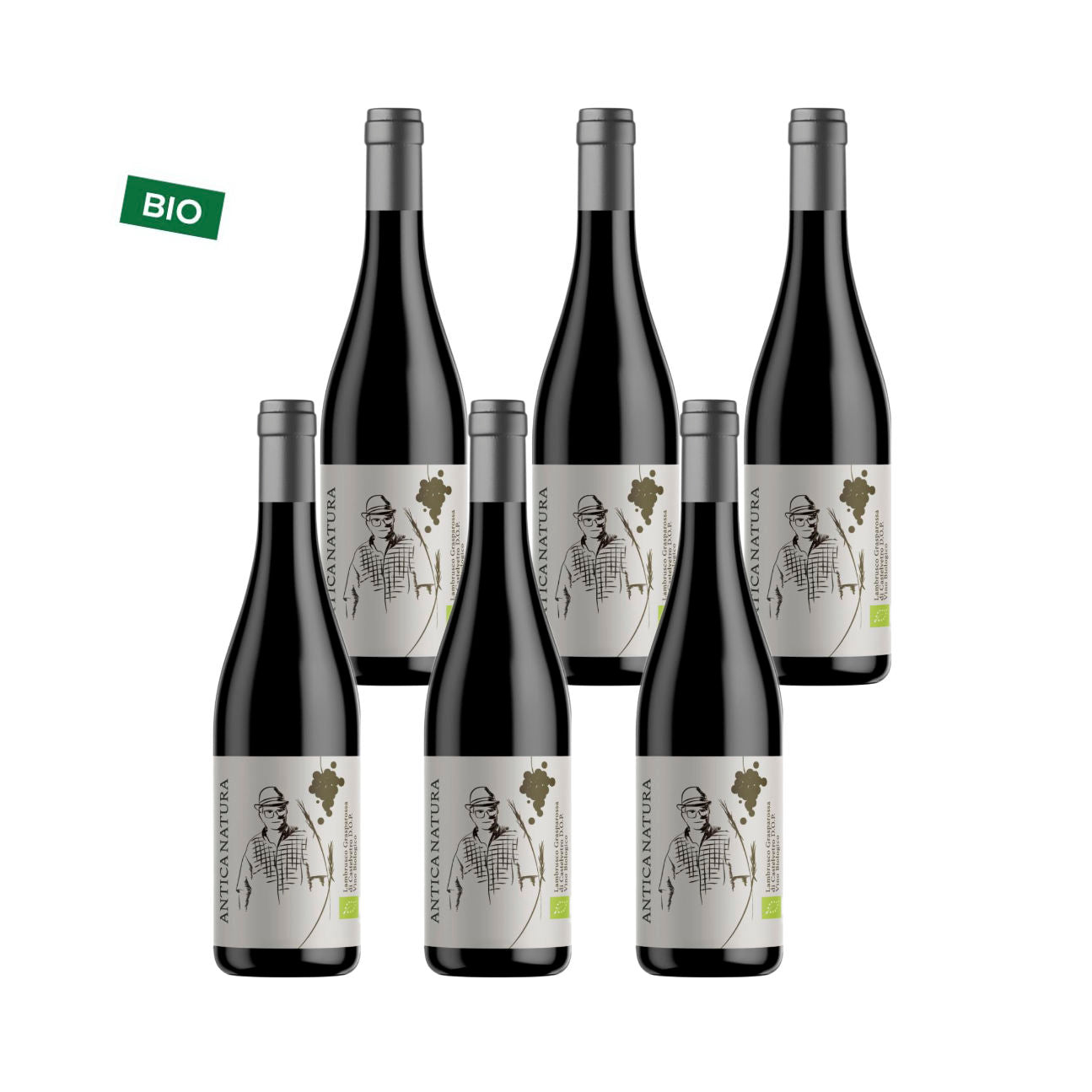 Antica Natura Lambrusco Grasparossa of Castelvetro DOP Dry 12% vol. 0,75l