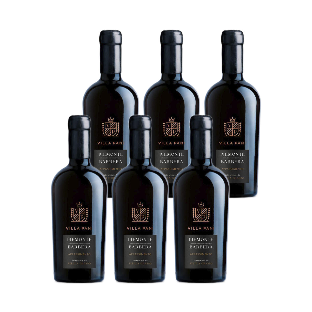 Villa Pani Barbera Appassimento Piemonte DOC Rotwein 0,75l